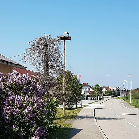 Apartment Velcom Moravske Toplice